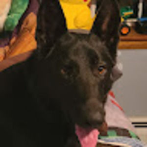 Meet your Posher, Lynn